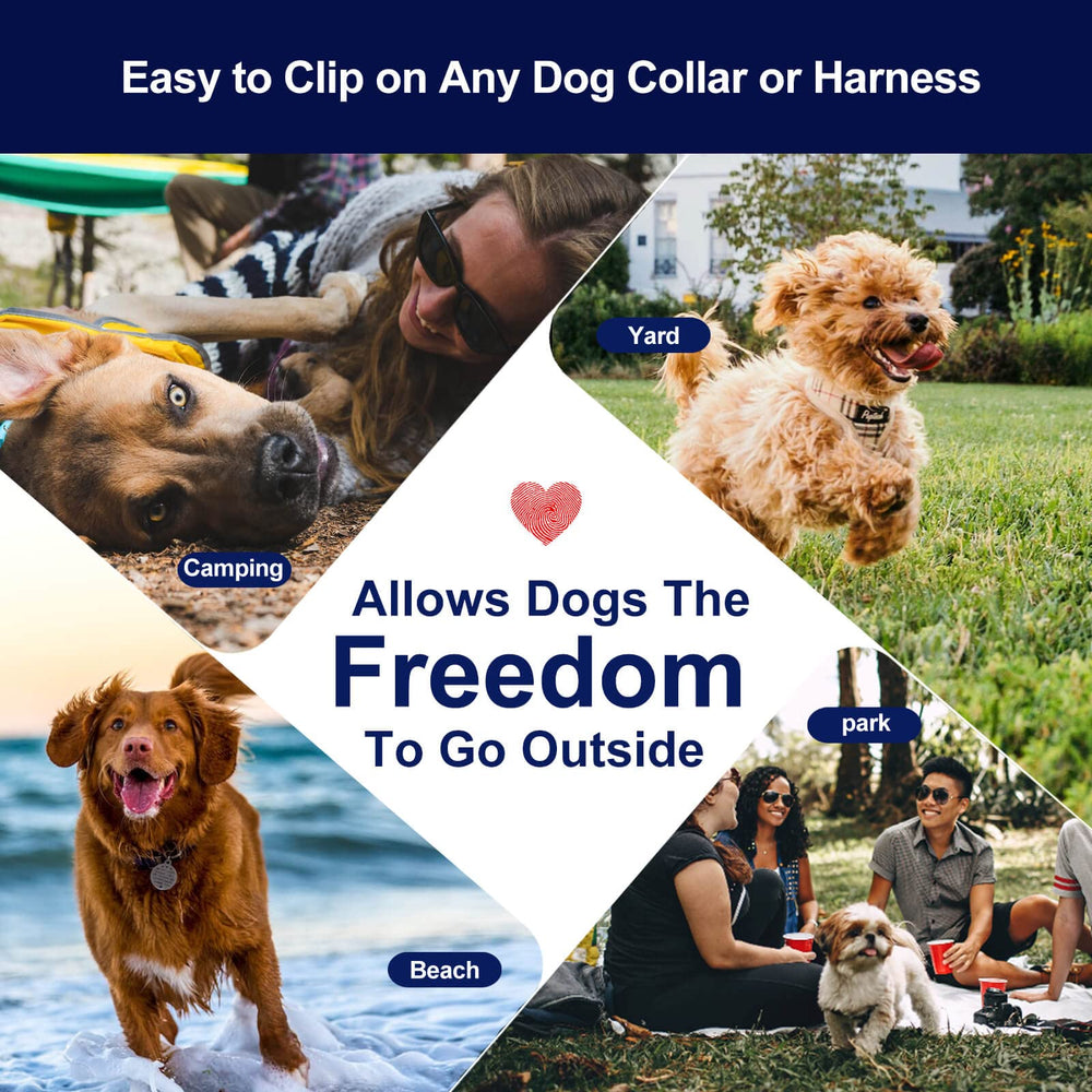 WATFOON various lengths 10-100ft dog cable for flexible outdoor use.