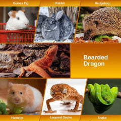 WATFOON lizard sling carrier entry view shows easy entry and roomy space