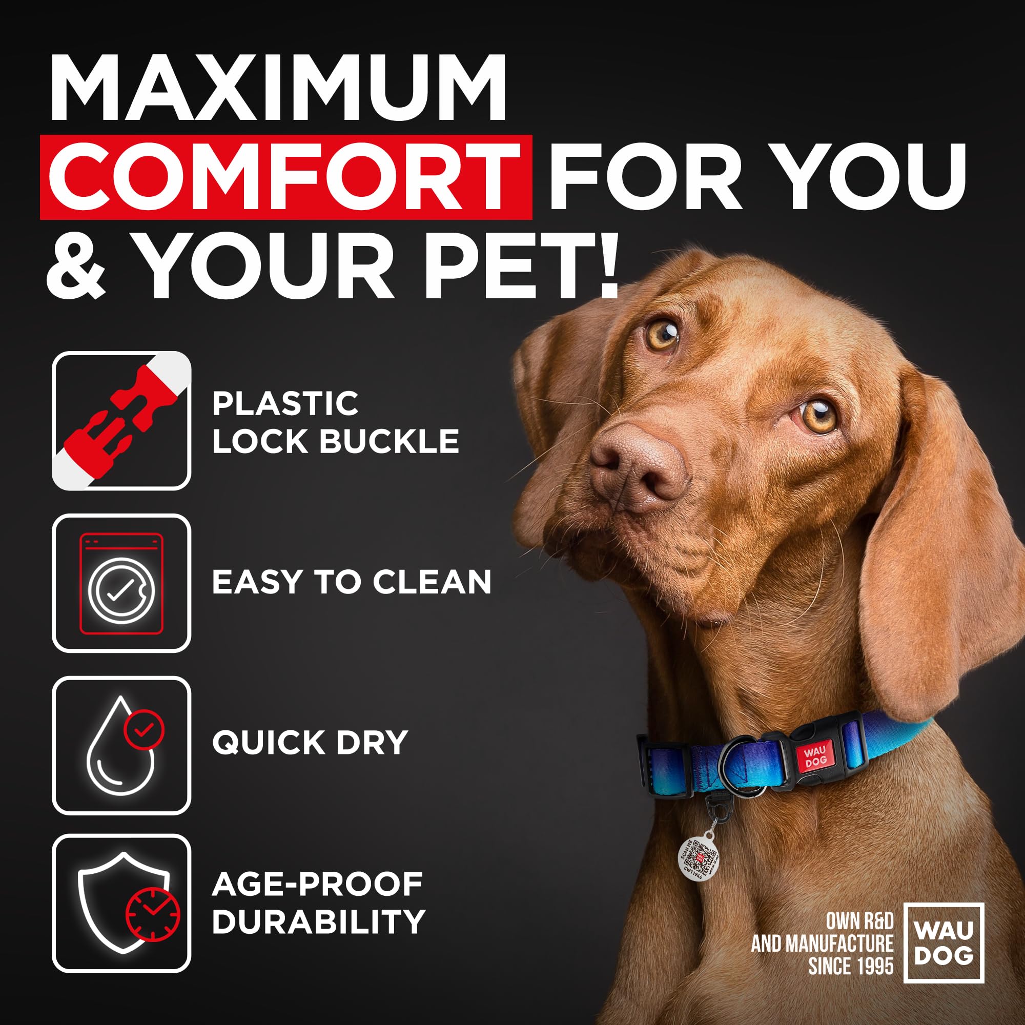WAUDOG nylon dog collar safety buckle highlighted for secure daily use.