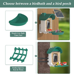 WAVEEME AI identification highlights species in seconds, expanding your birding knowledge