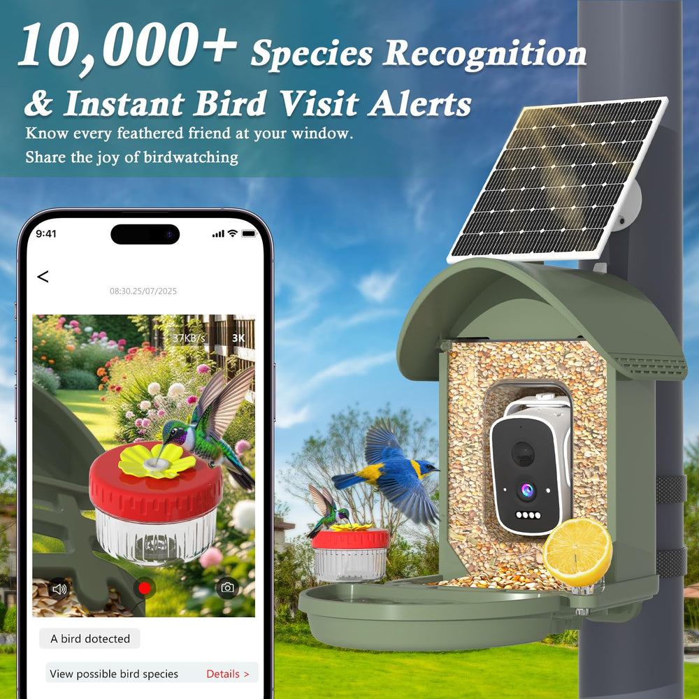 WAVEEME Bird Feeder with Bird Bath and Perch attracts diverse visitors