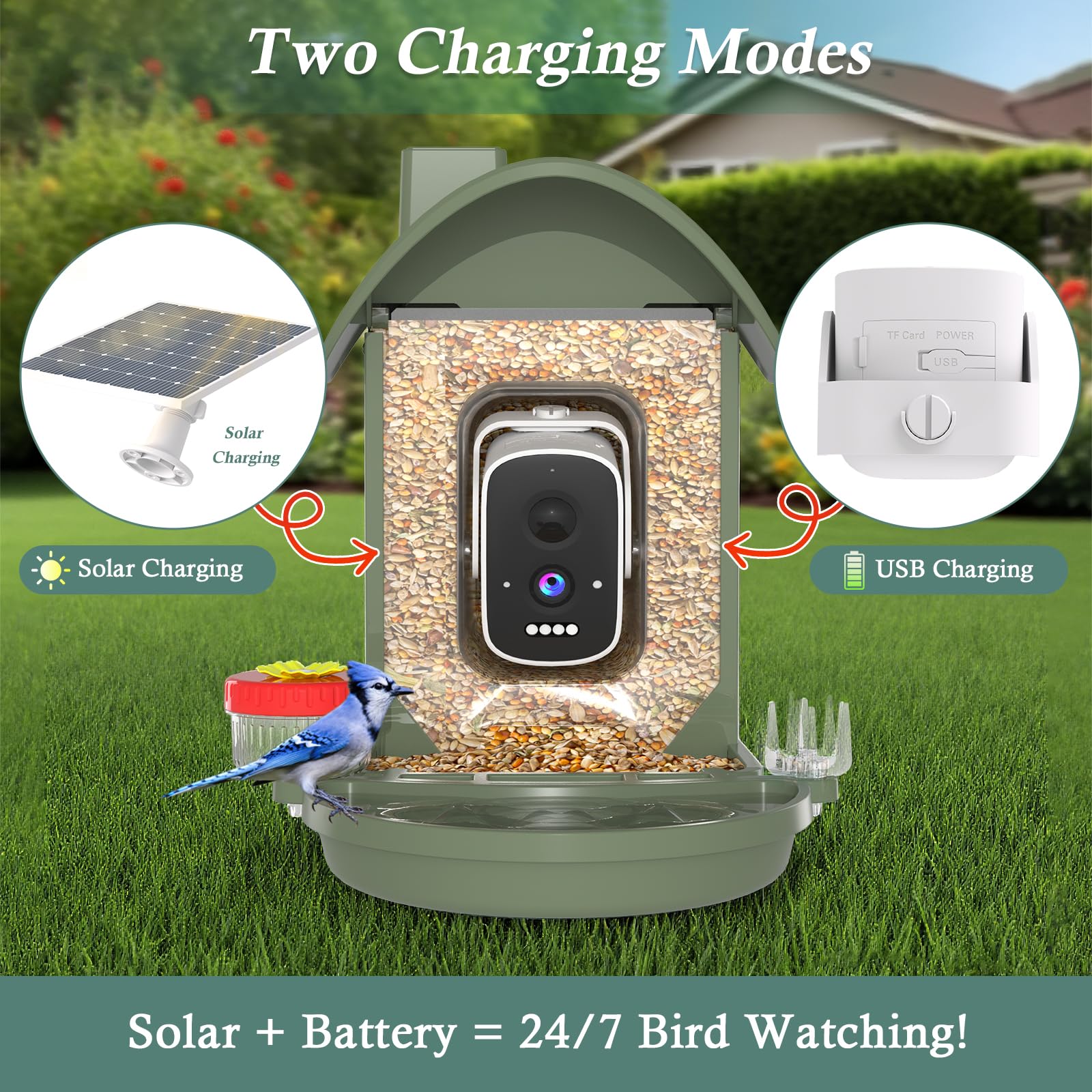WAVEEME Bird Feeder night vision and cloud recording for low light
