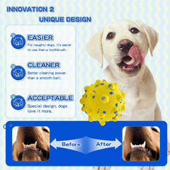 Wavevo floating dog ball-water-01 ideal for water fetch