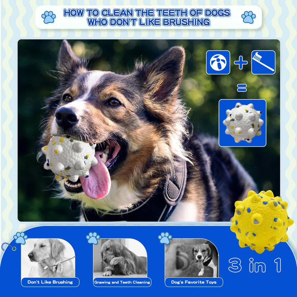 Wavevo ball floats on water for fetch and water play.