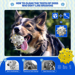 Wavevo ball floats on water for fetch and water play.