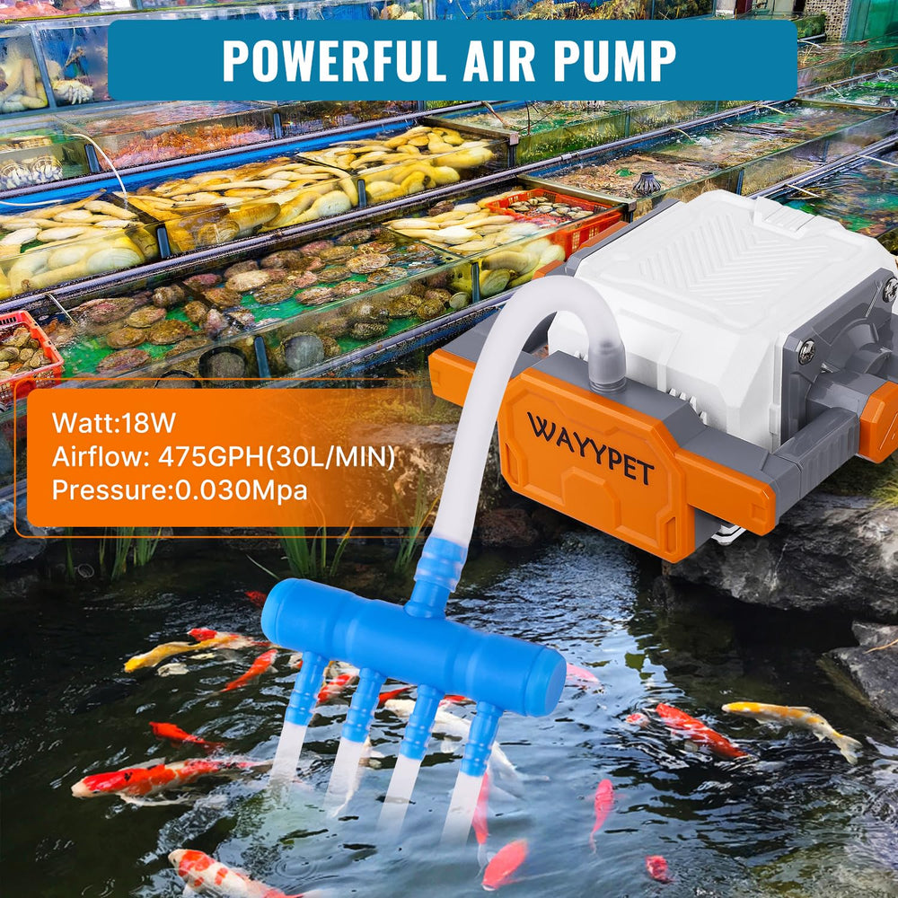 WAYYPET air-manifold four-outlet demonstrates multi-tank capability for commercial setups.