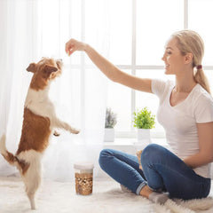 WBKTOOL Stackable Pet Storage saves space in kitchen or pantry