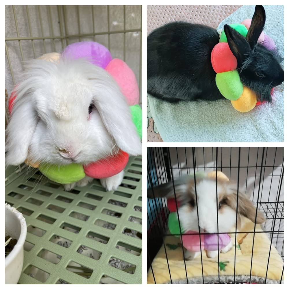 WCDJOMOP XS size shows precise head-fit for rabbits and guinea pigs.