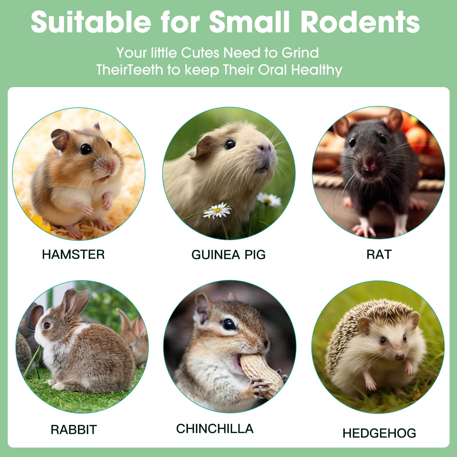 WDEFUN Bunny Chew Biscuits add nibble-and-play enrichment