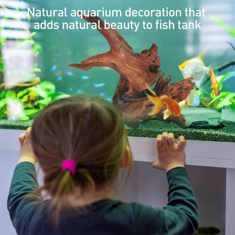 WDEFUN driftwood provides a natural hide and exploration perch for fish.