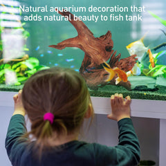 WDEFUN driftwood provides a natural hide and exploration perch for fish.