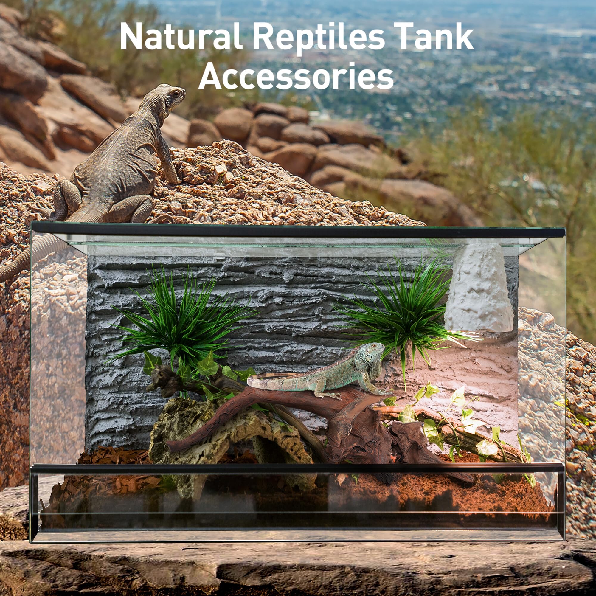WDEFUN driftwood betta hideout provides shelter and visual interest.