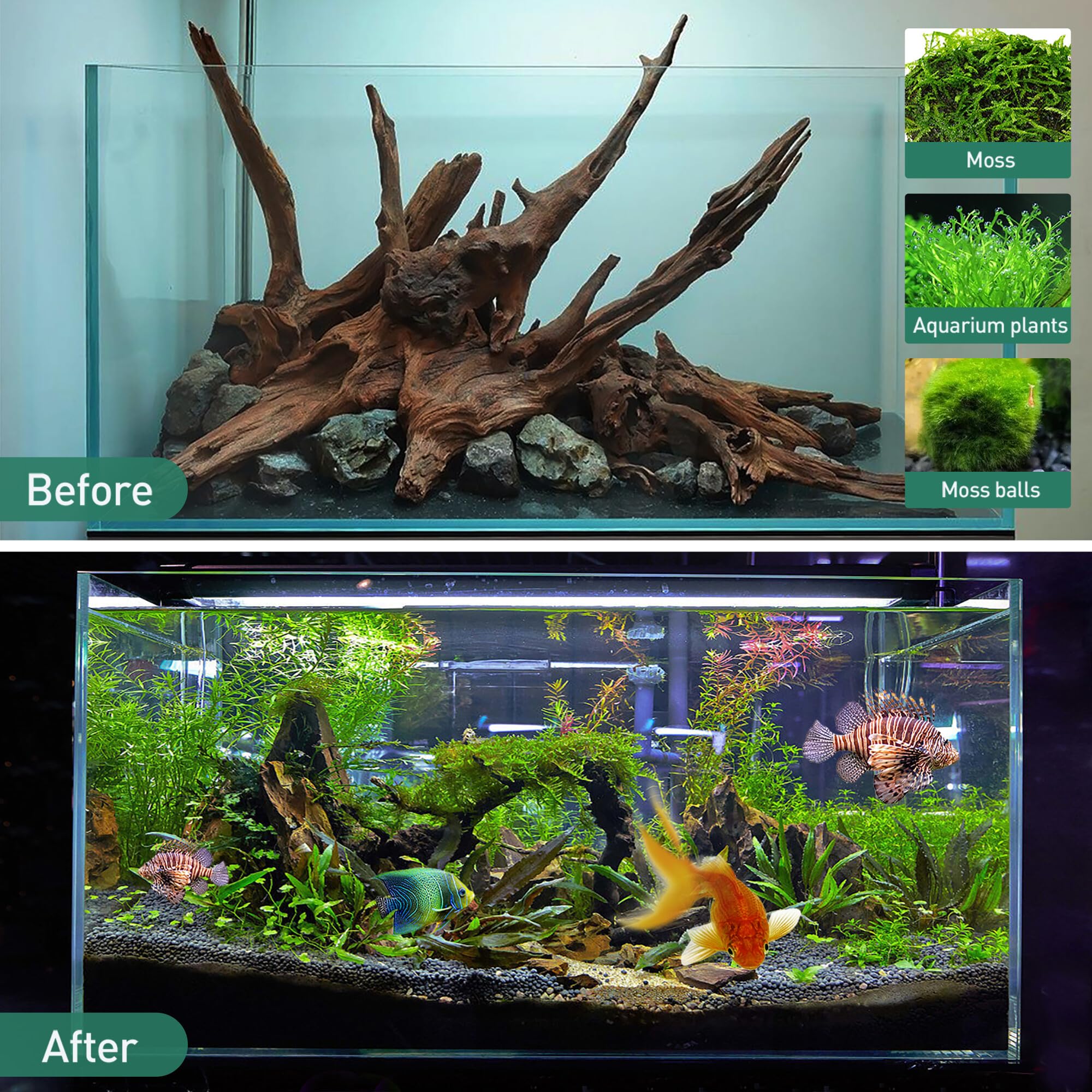 WDEFUN driftwood tank decor accent enhances natural aquarium aesthetics