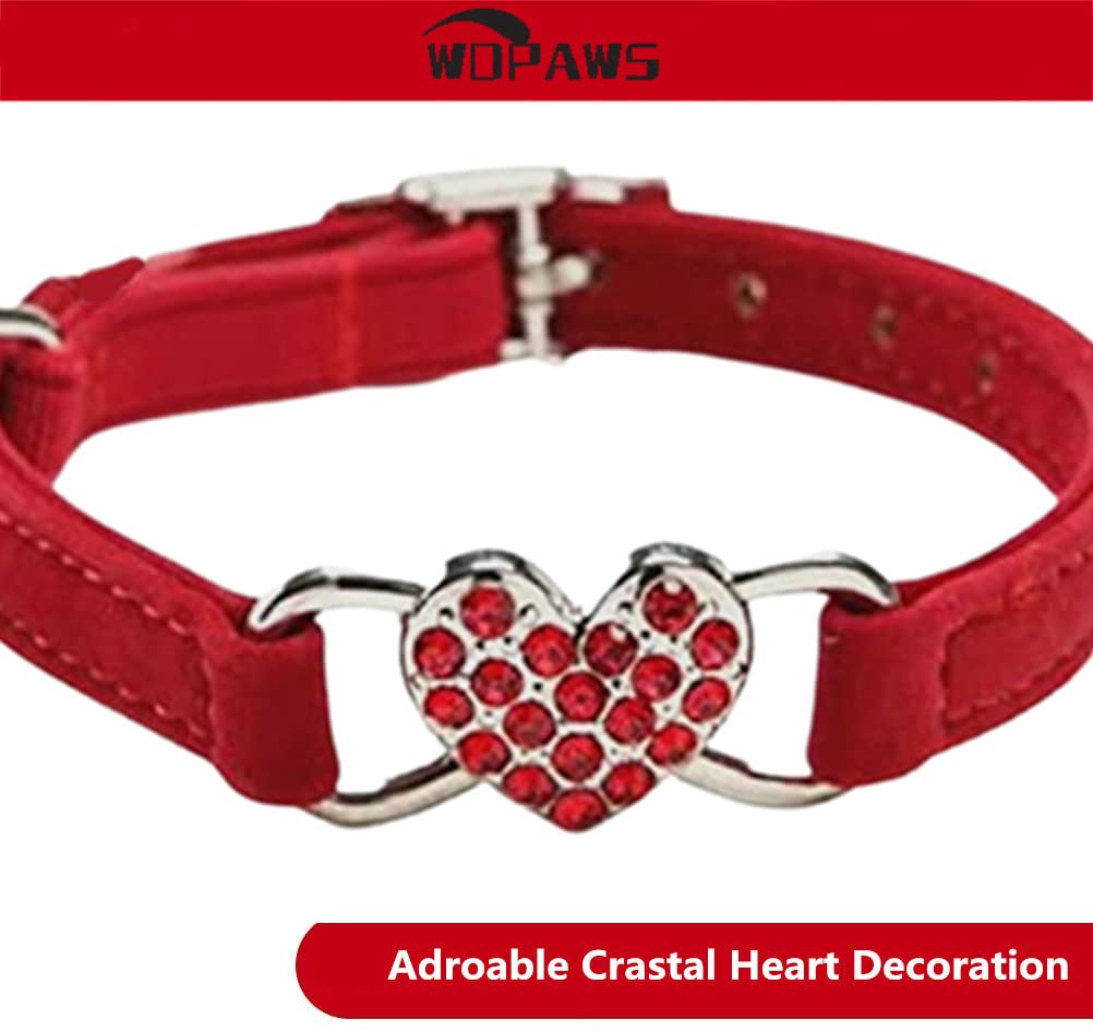 WDPAWS adjustable strap enables 8-10 inch necks for kittens and small cats