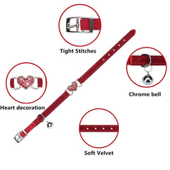 WDPAWS elastic belt detail shows flexible, comfortable fit for kittens