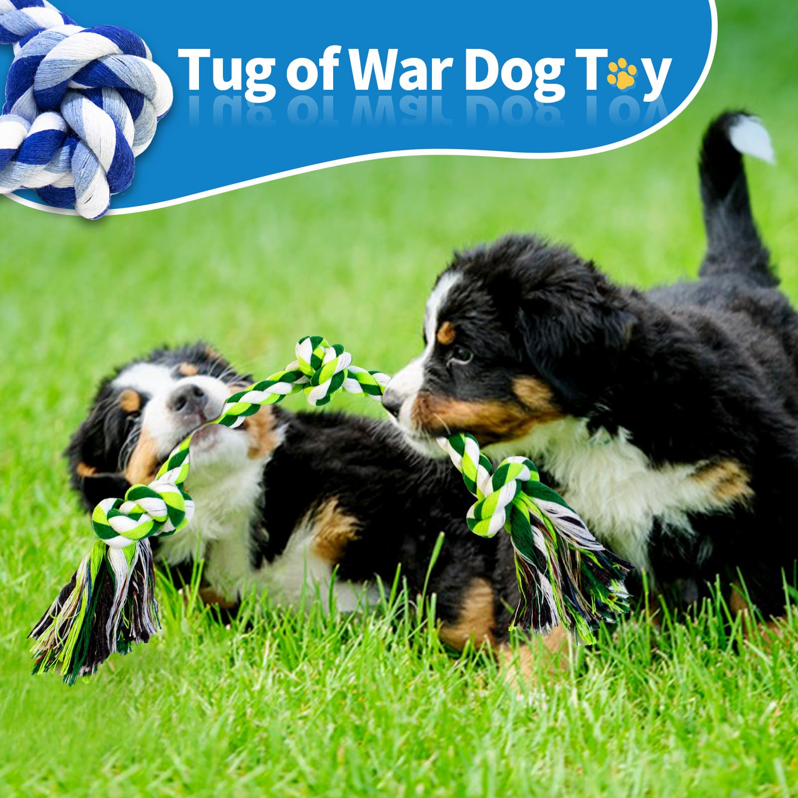 WDZZHOT rope toy, colorful design, makes a great gift for dogs.