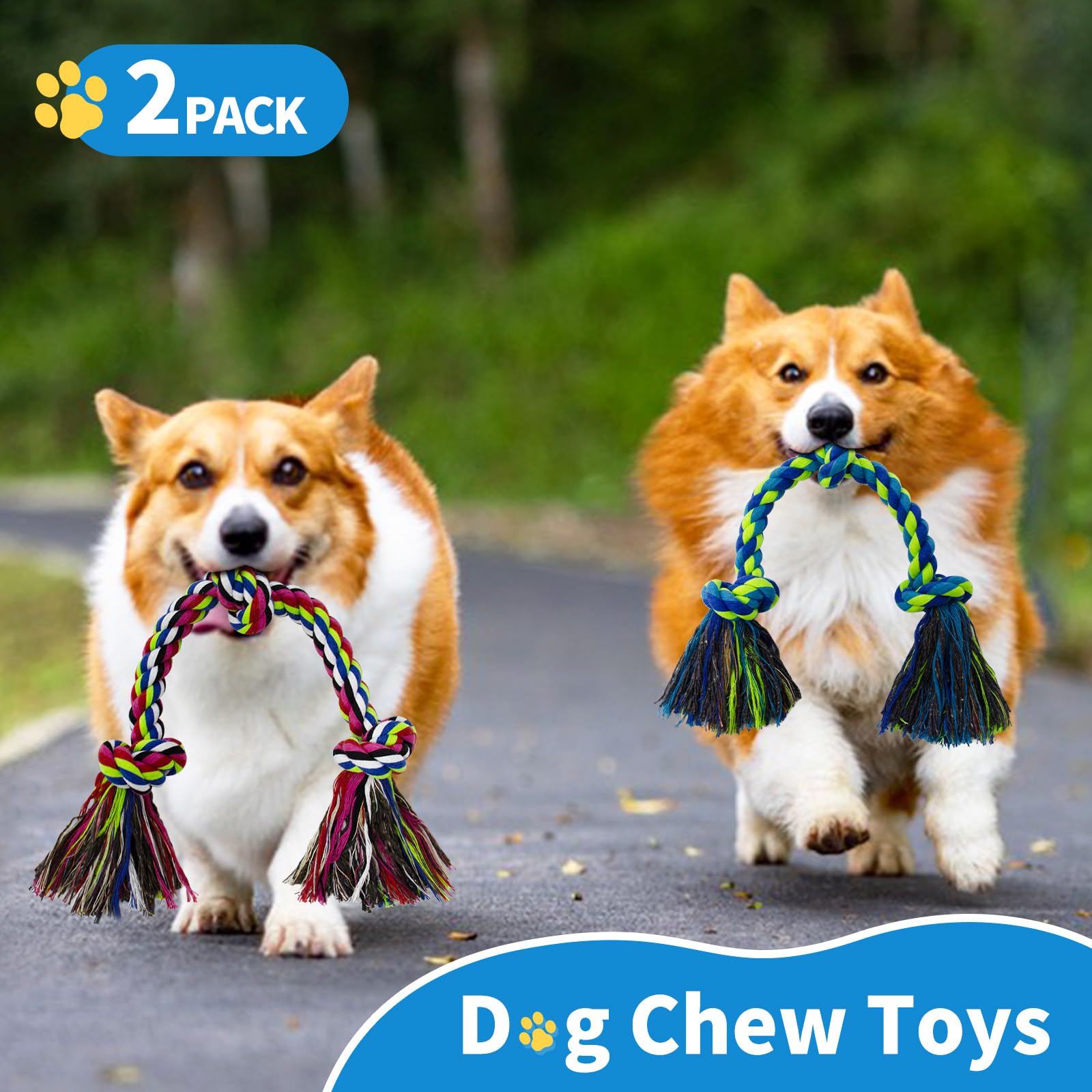 WDZZHOT gift-ready dog rope toy set for birthdays and holidays.