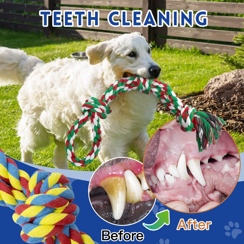 WDZZHOT rope helps floss between teeth during playful chewing.
