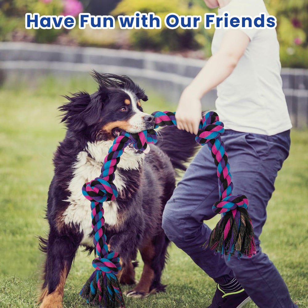 WDZZHOT two-pack provides value and variety for active dogs.