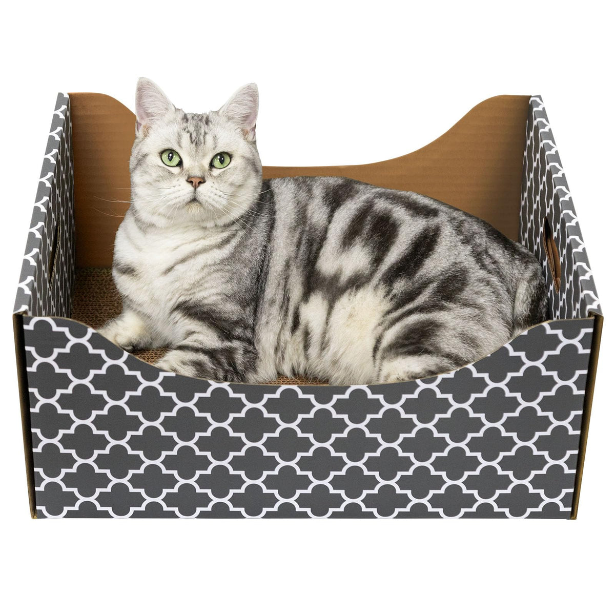 WDZZHOT ultra-large cardboard scratcher box front view for big indoor cats with spacious lounge
