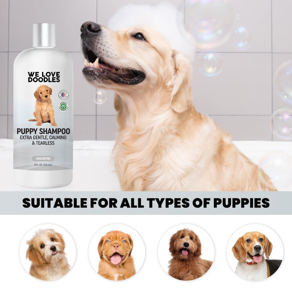 We Love Doodles after bath soft coat showcases smooth fur.