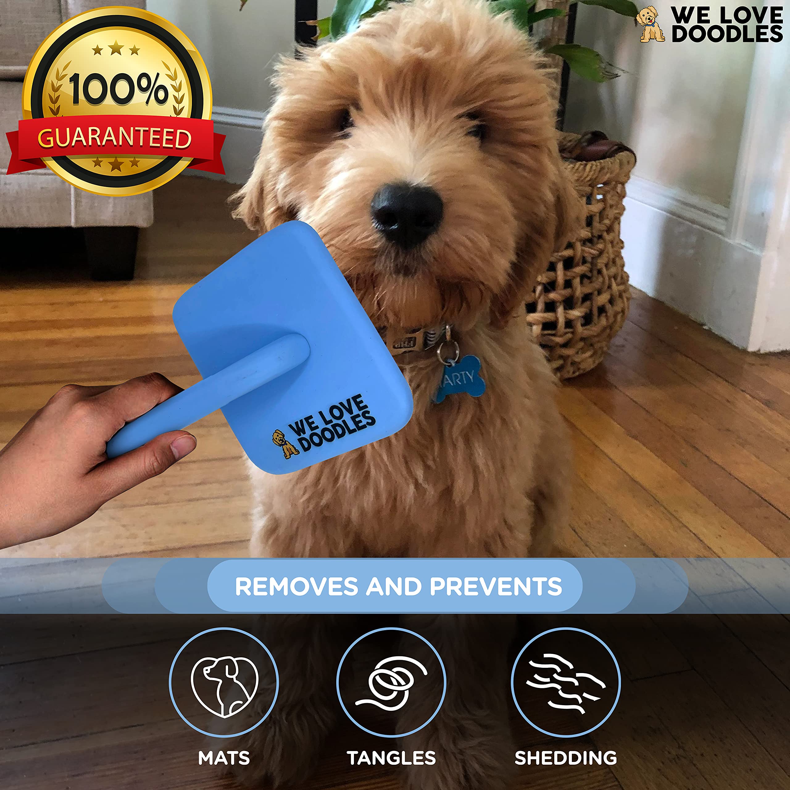 We Love Doodles Goldendoodle brush-use context for curly/dense coats.