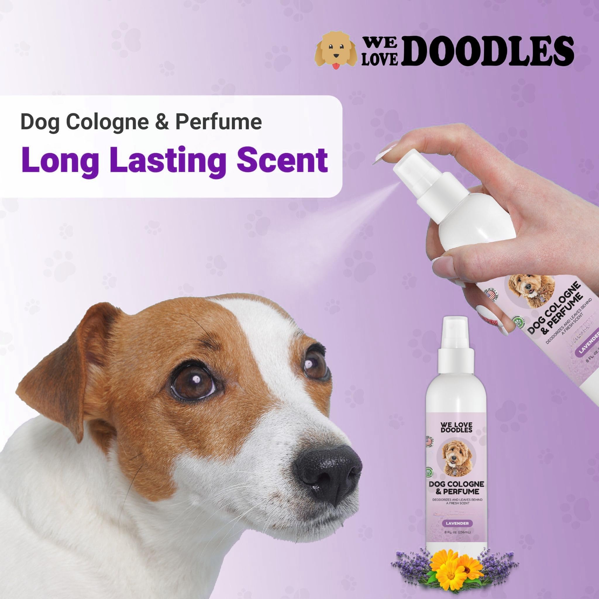 We Love Doodles lavender dog perfume in living room conveys mood-freshening aroma.