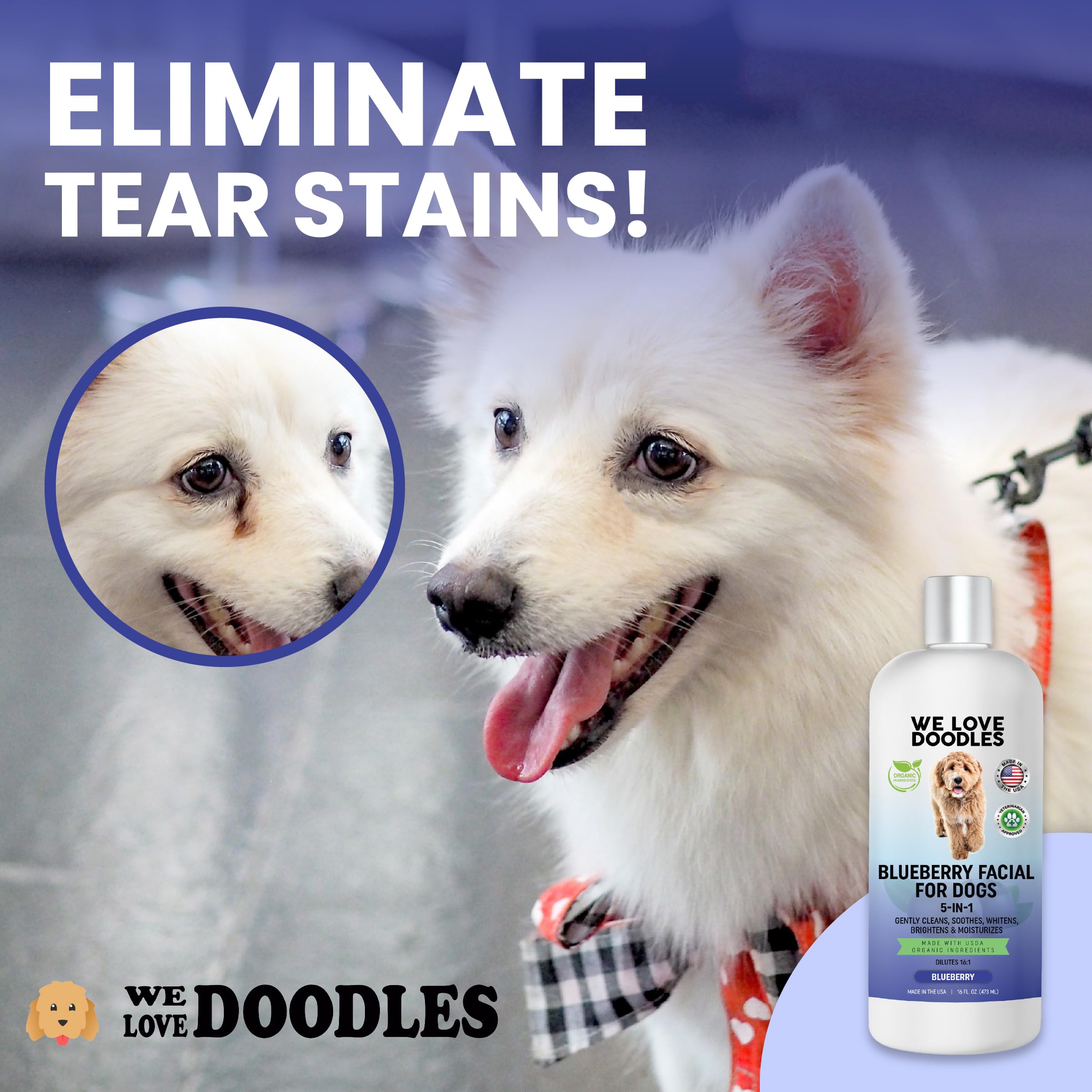 We Love Doodles tear-stain-removal-action on dog fur close-up.