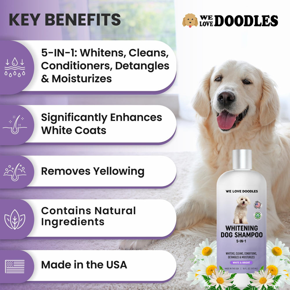 We Love Doodles whitening dog shampoo coat after bath appears brighter and cleaner.