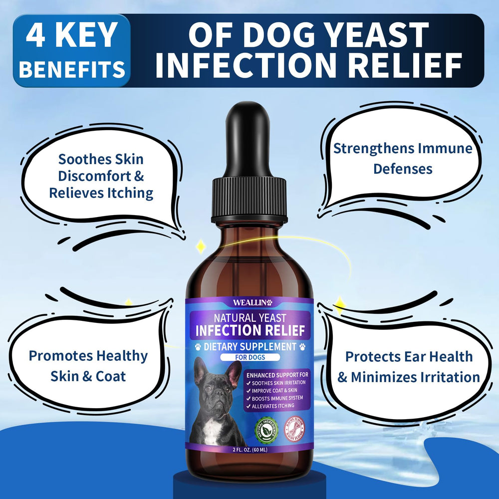 WEALLIN-8-herbal-blend-ingredients highlight natural herbs backing gentle support for dogs.