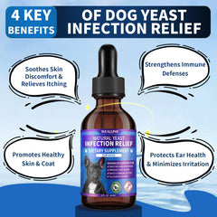 WEALLIN-8-herbal-blend-ingredients highlight natural herbs backing gentle support for dogs.
