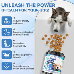 WEALLIN calming dog treat chicken flavor closeup highlights tasty, dog-approved anxiety relief.
