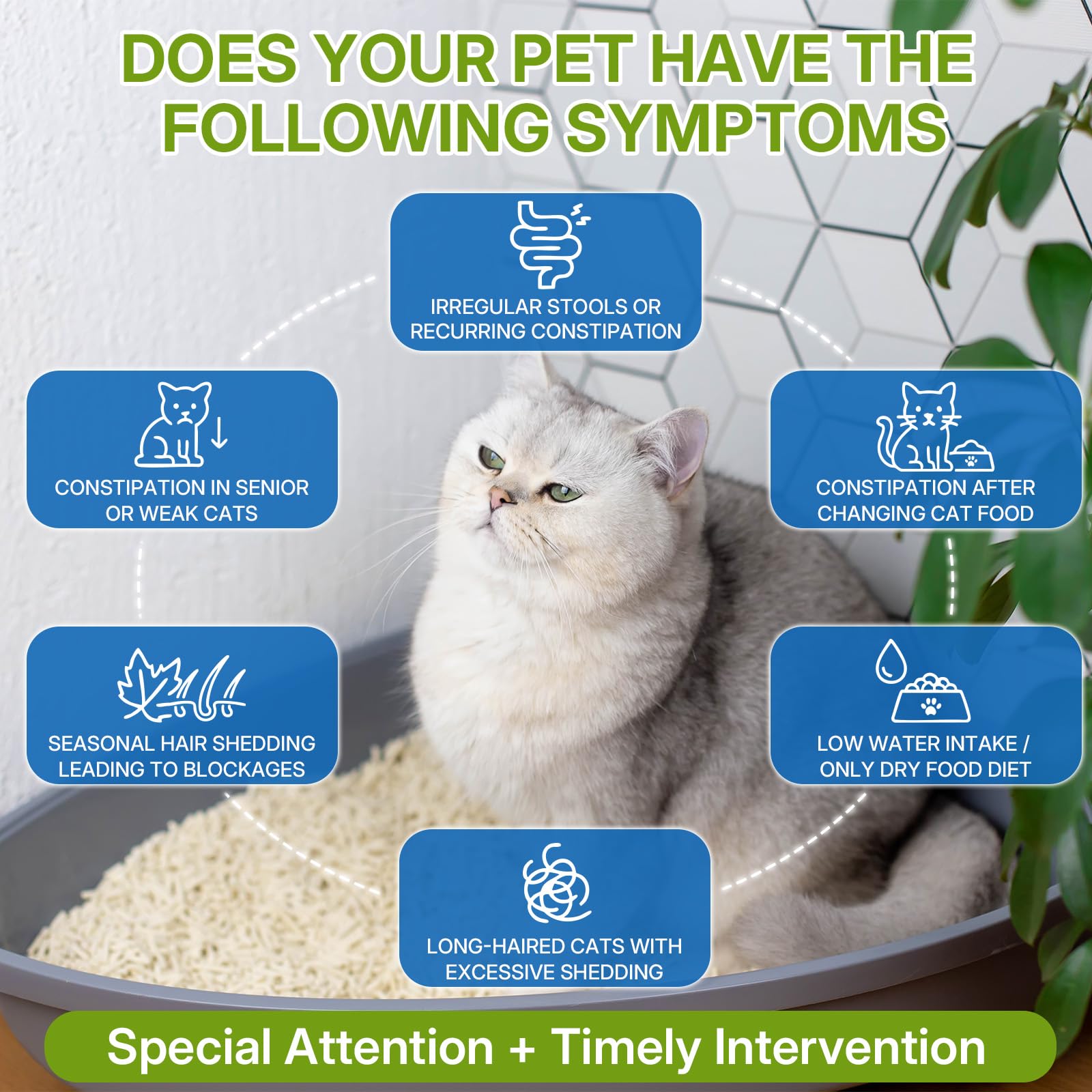 WEALLIN cat constipation relief drops in food, supports regularity with natural herbs.