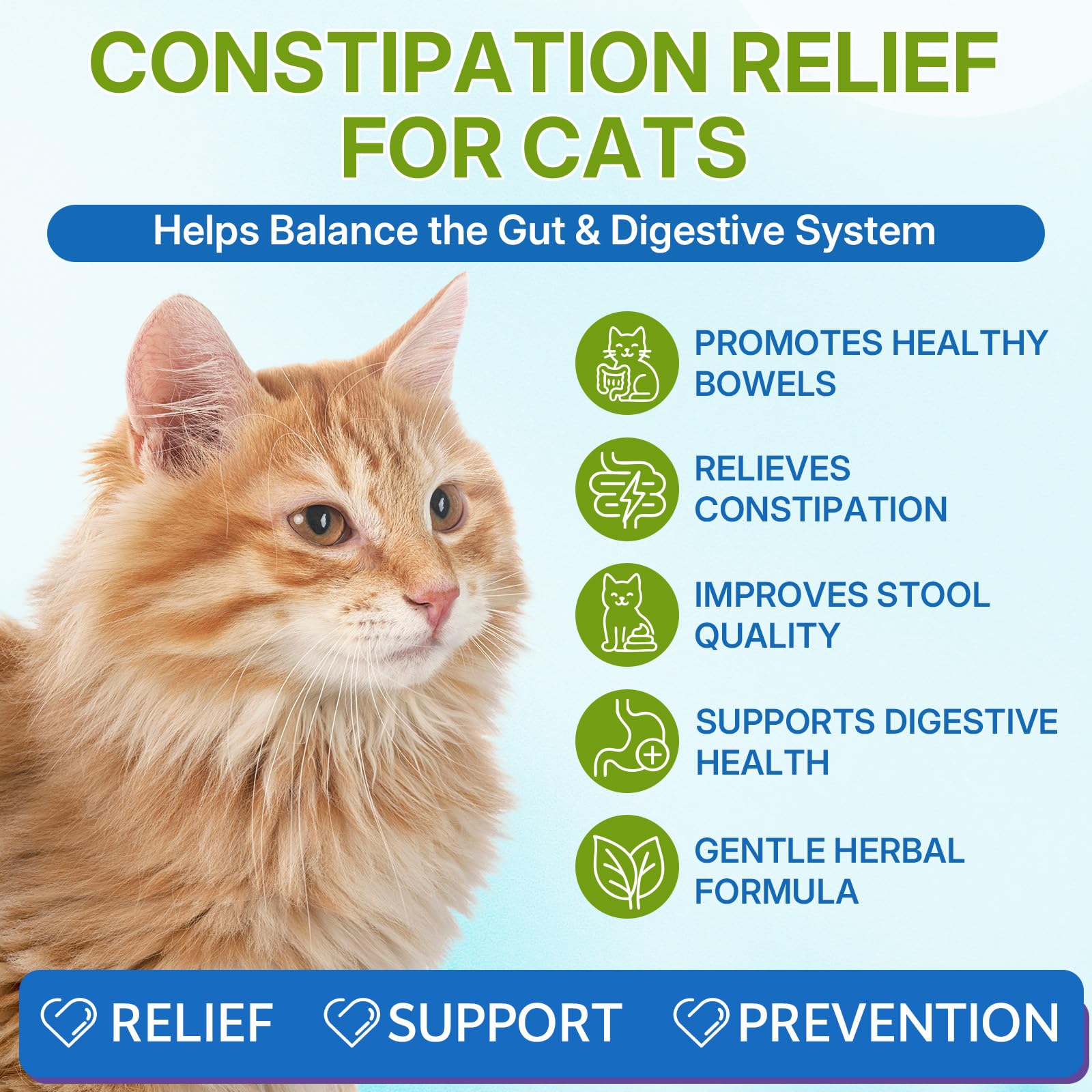 WEALLIN cat constipation relief drops pouring into food, promotes smooth mixing for acceptance.