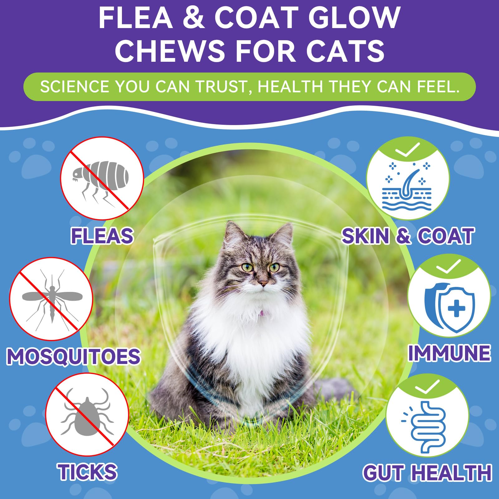 WEALLIN flea chews promoting coat shine for healthy fur