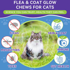 WEALLIN flea chews promoting coat shine for healthy fur