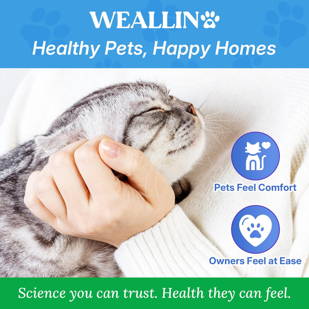 WEALLIN cat relaxation after treatment hints at comfort and calm following application.