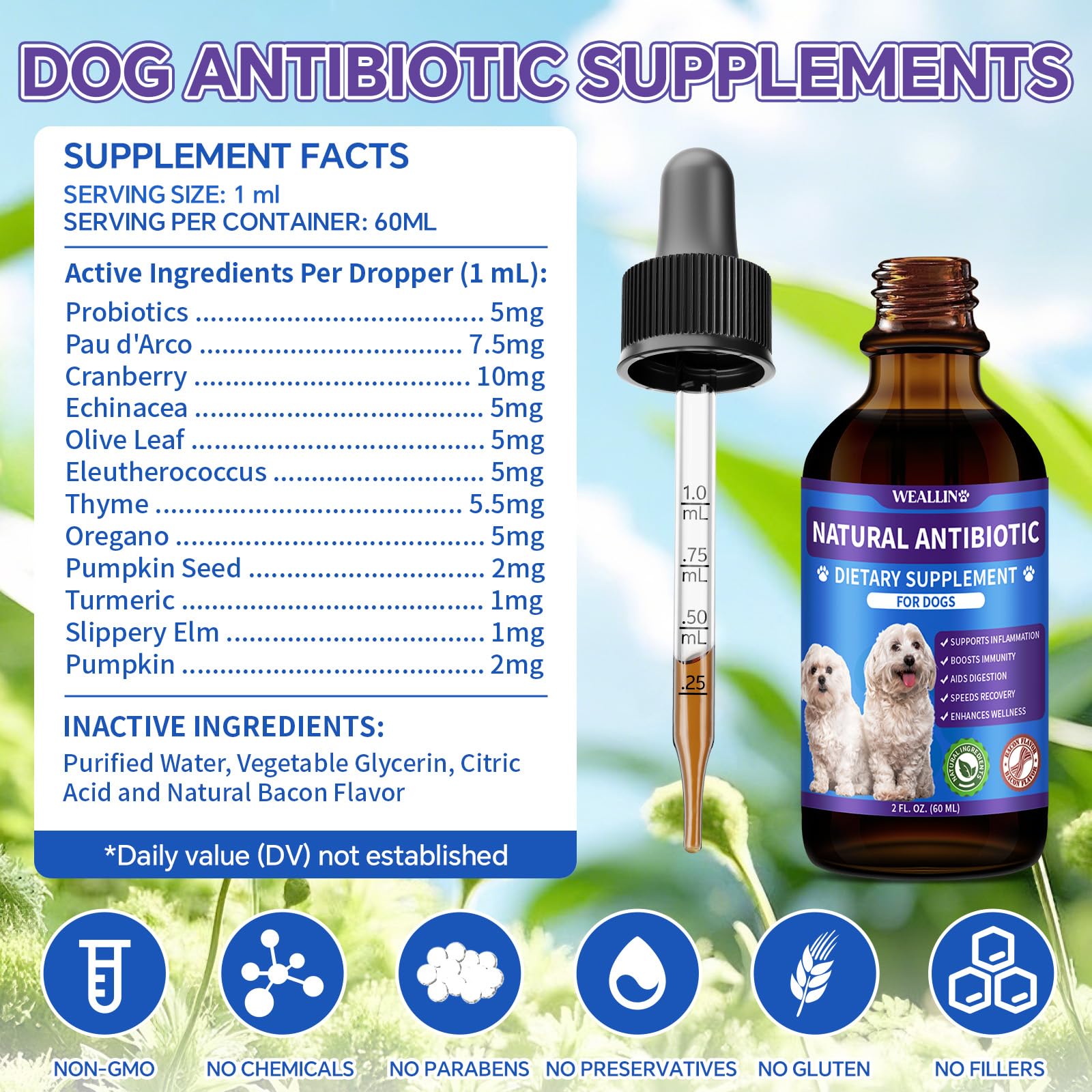 WEALLIN dog antibiotics for all breeds and ages in lifestyle shot.