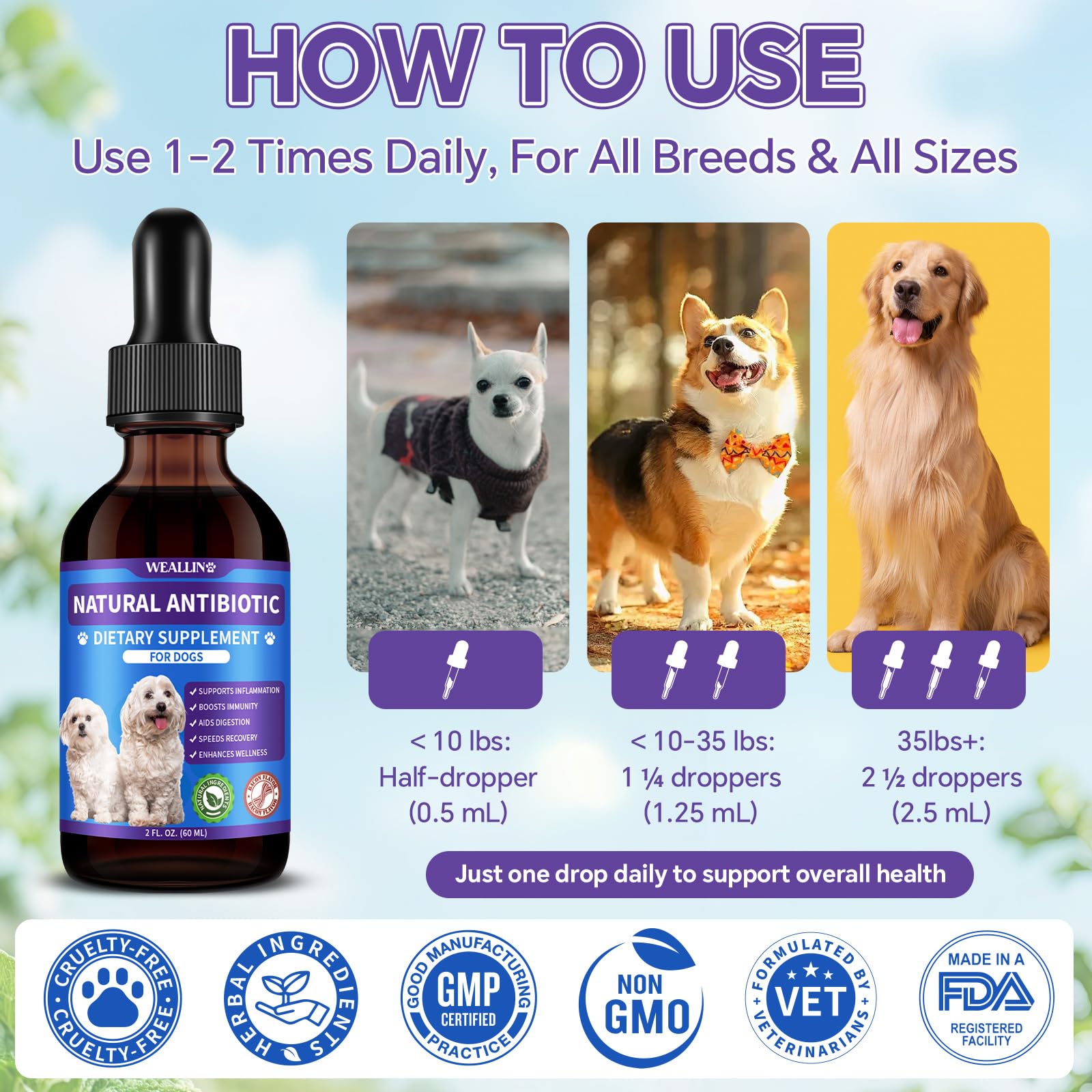 WEALLIN dog antibiotics bottle beside skin care visuals representing itch relief.