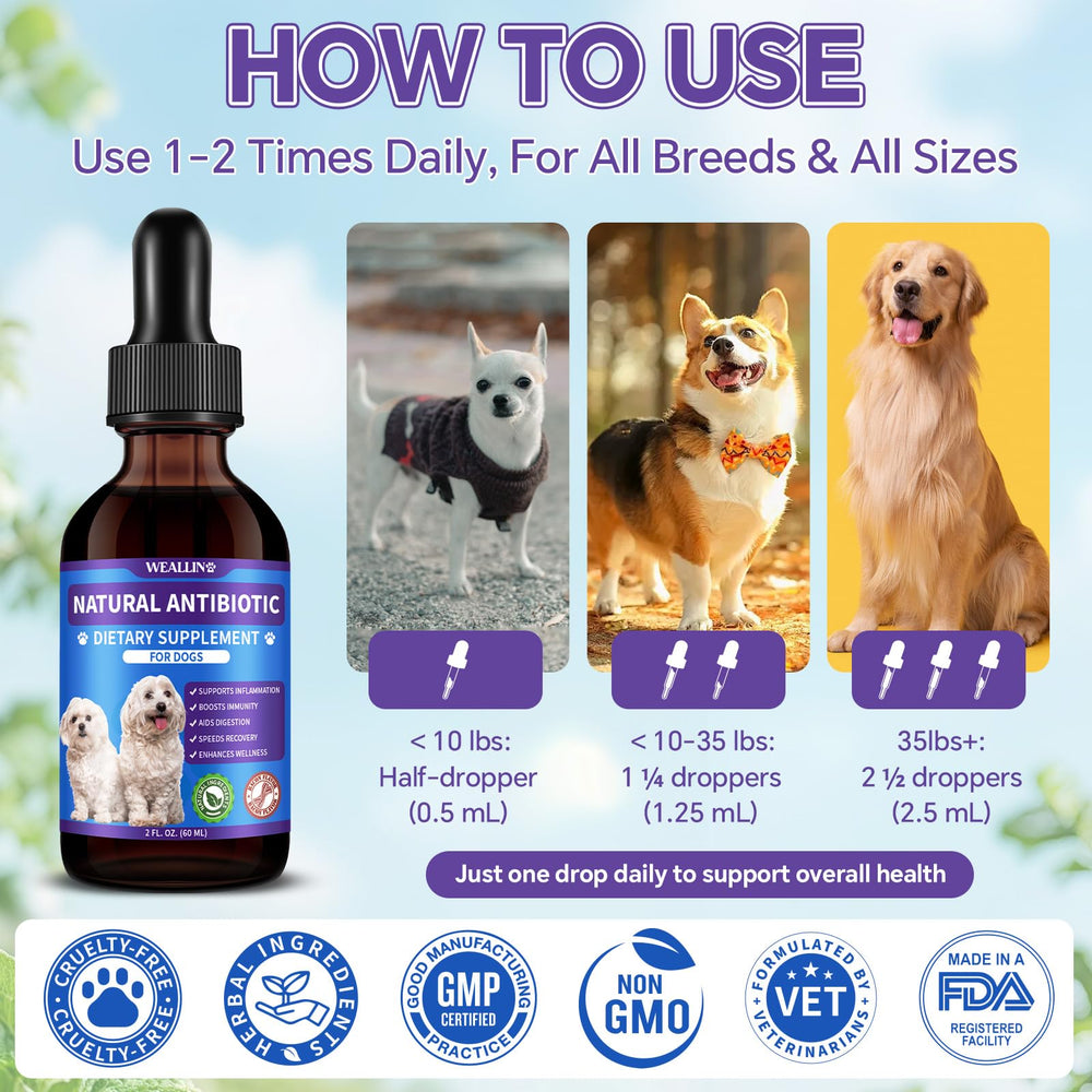 WEALLIN dog antibiotics bottle beside skin care visuals representing itch relief.