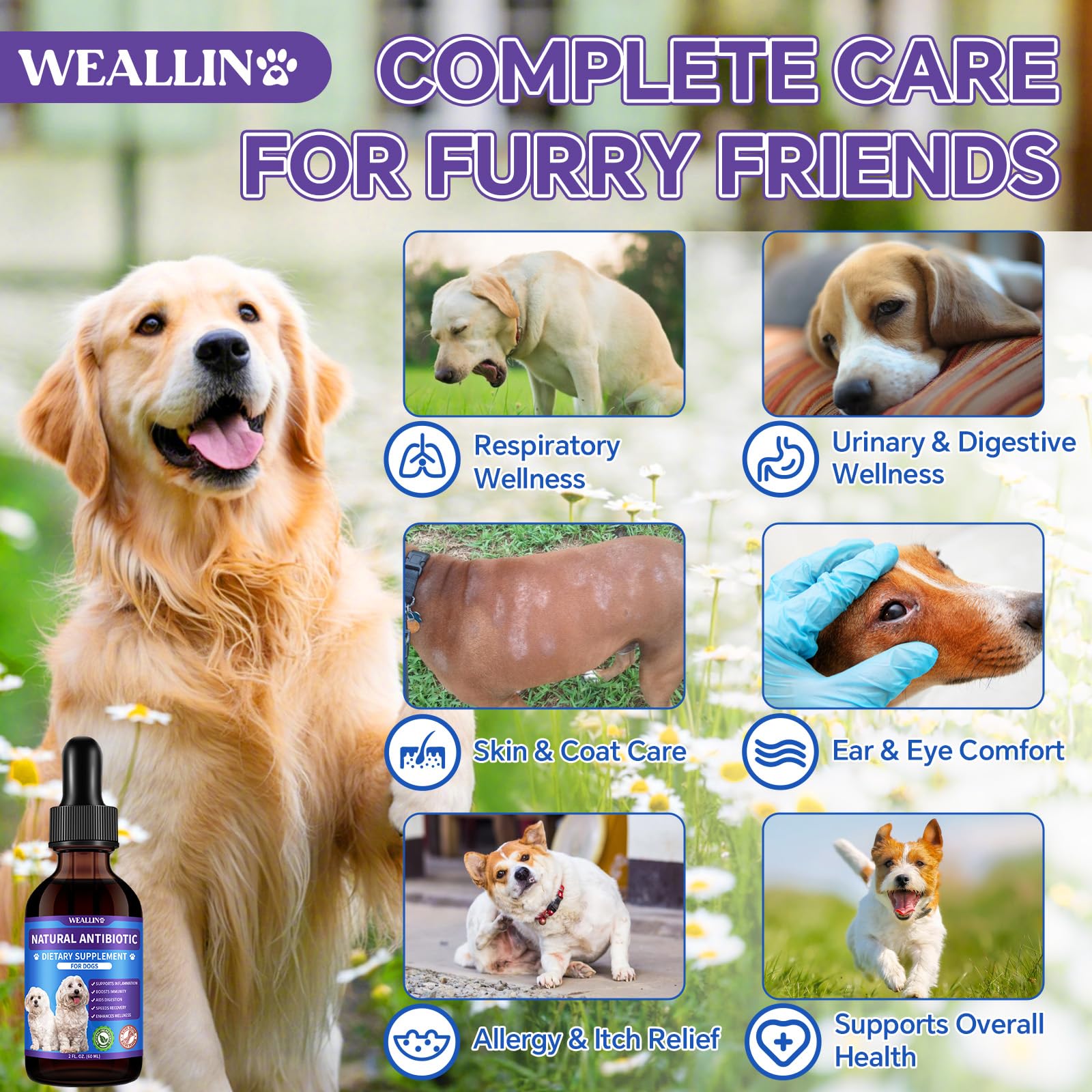 WEALLIN dog antibiotics dosing dropper shows precise measurements for easy administration.