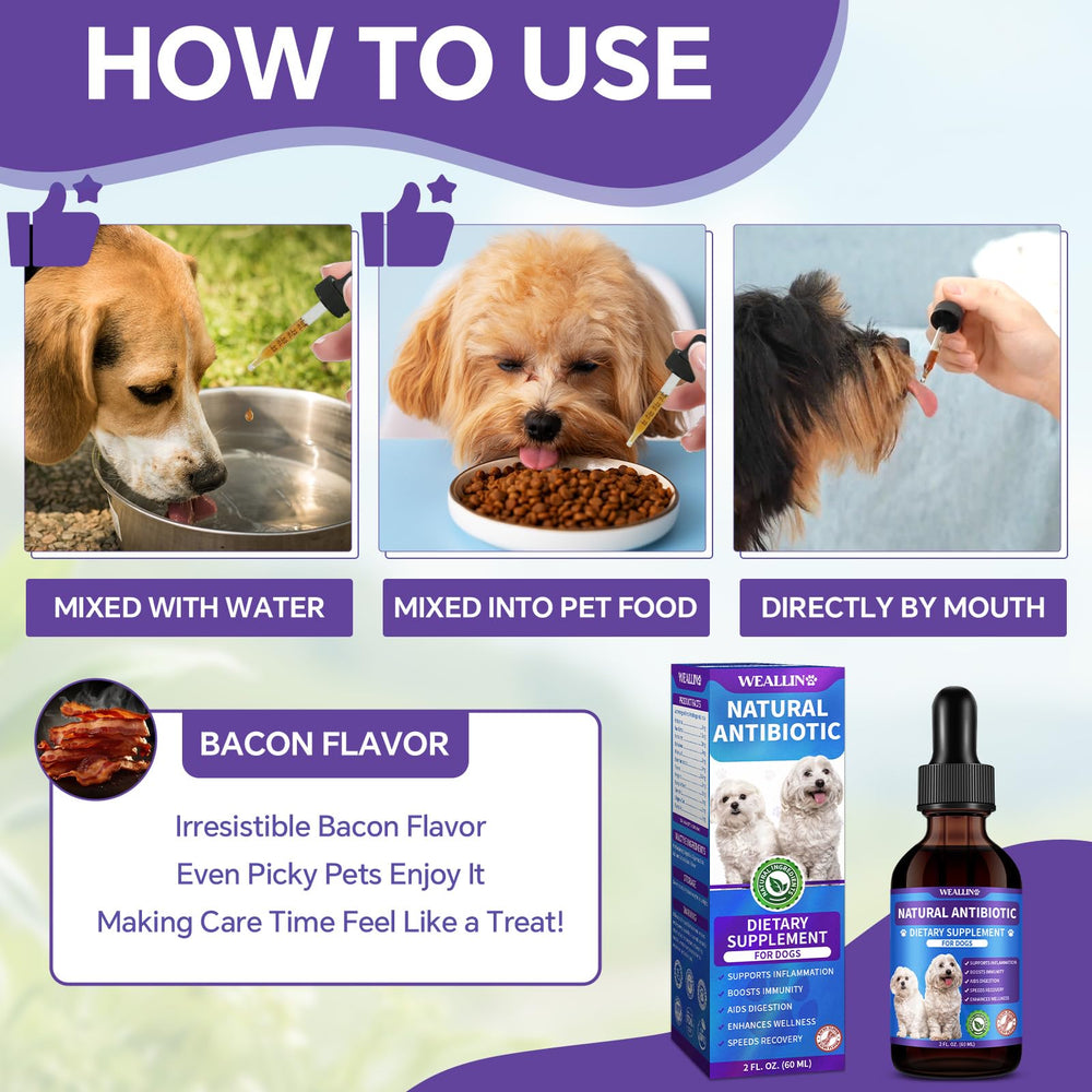WEALLIN dog antibiotics ear care depiction suggesting calming relief.