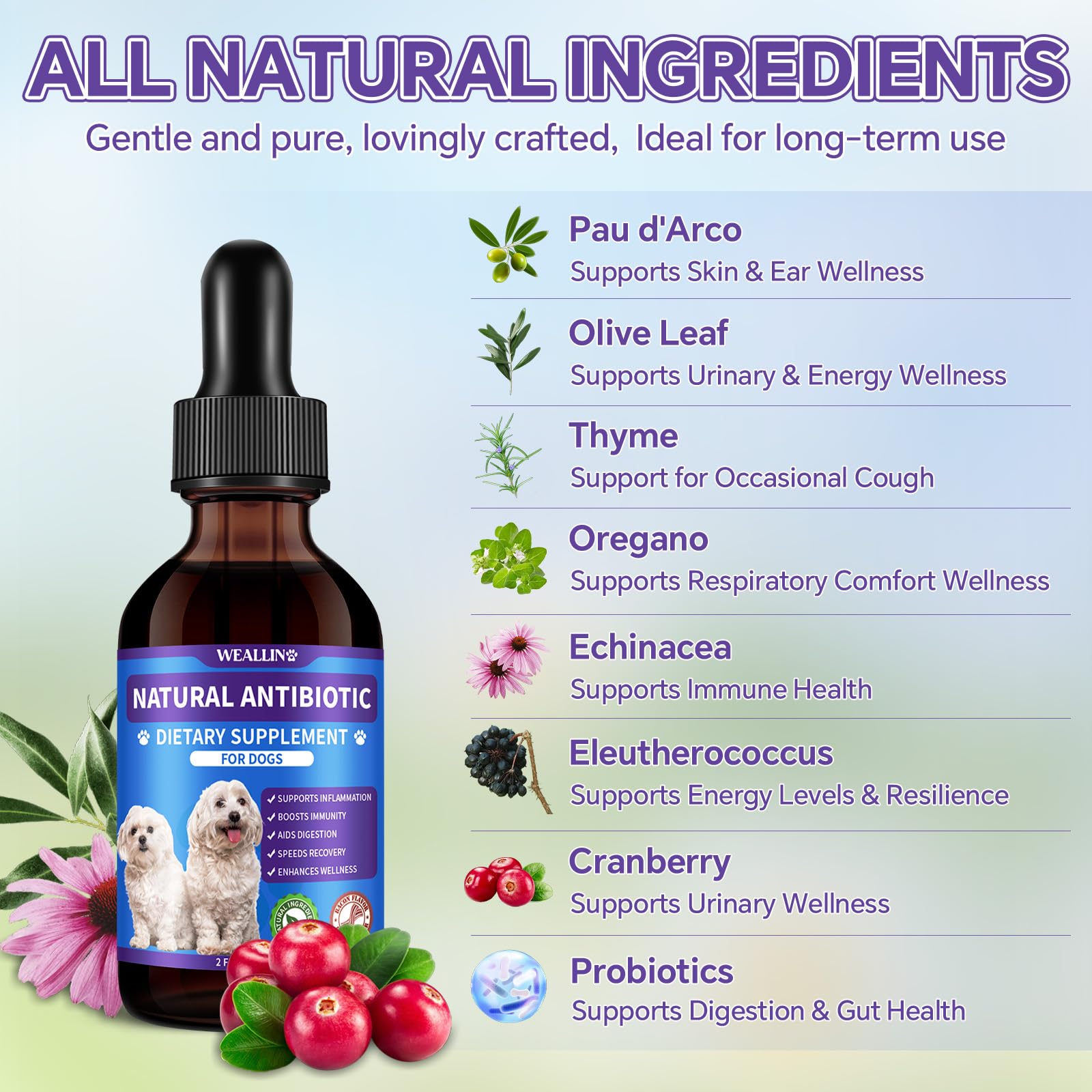 WEALLIN ingredients list highlight herbal blend for urinary and immune support.