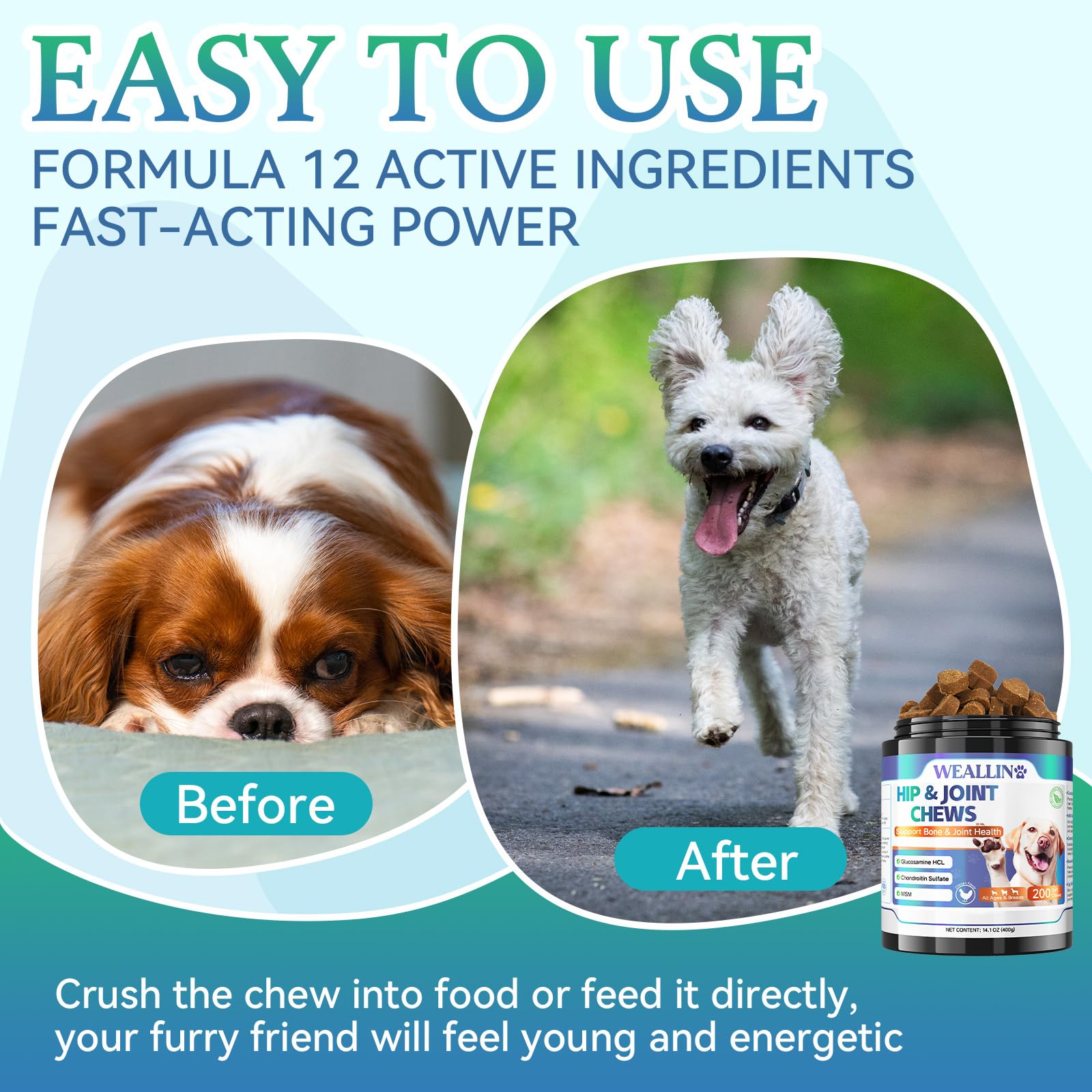 WEALLIN dog joint supplement dog in healthy pose illustrates improved mobility and comfort.