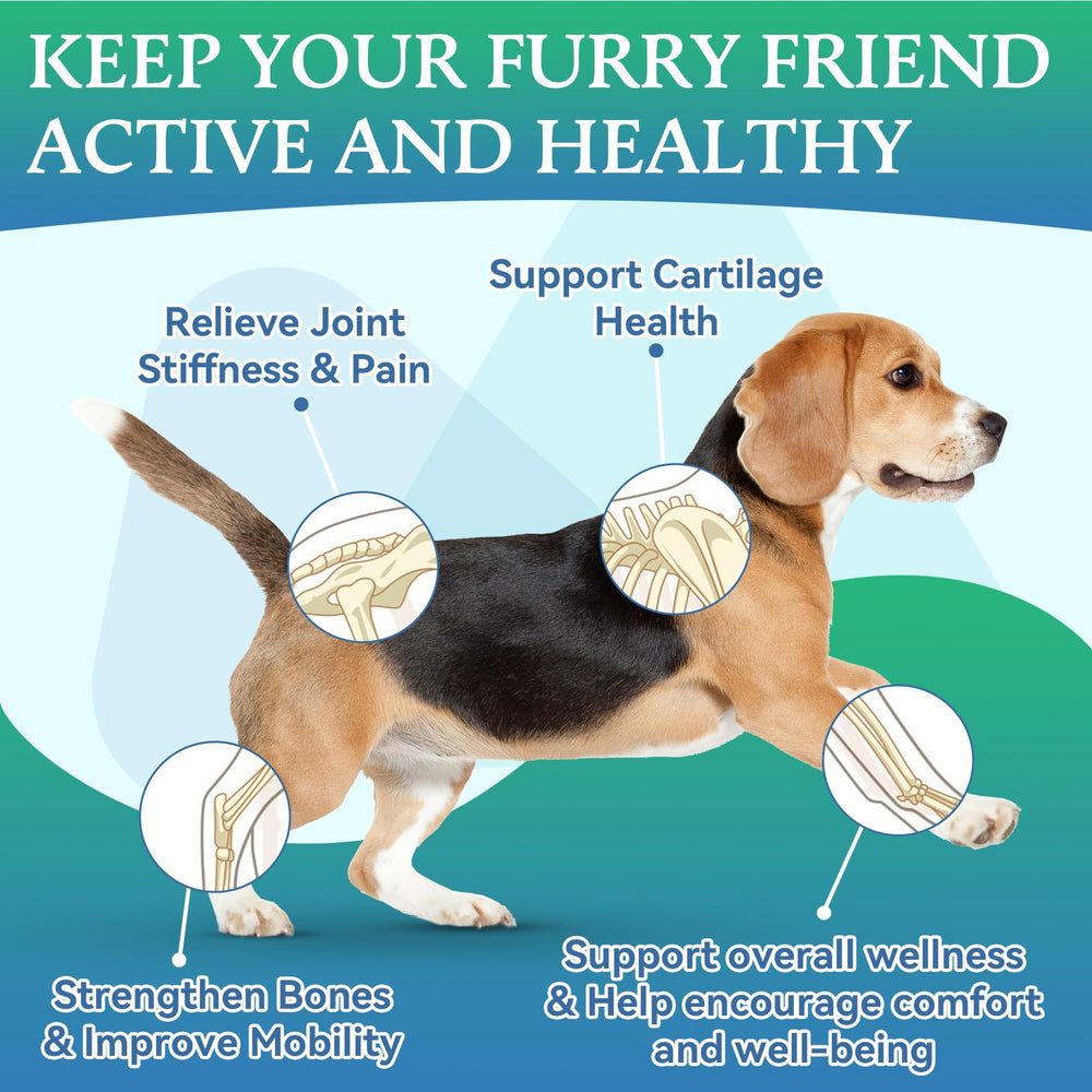 WEALLIN dog joint supplement soft chews close-up highlights palatable texture for easy daily dosing.