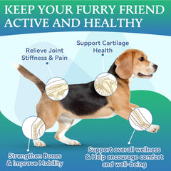 WEALLIN dog joint supplement soft chews close-up highlights palatable texture for easy daily dosing.
