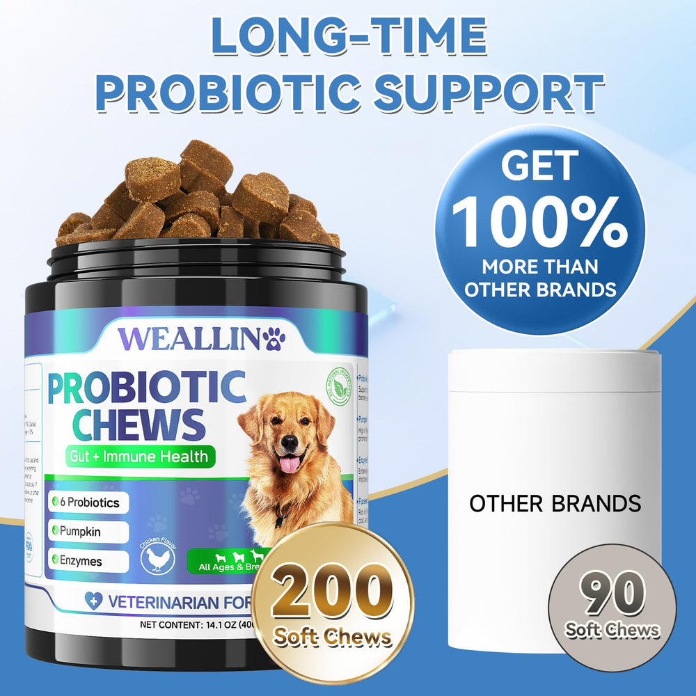 WEALLIN dog probiotics promote healthier coat and reduced itching