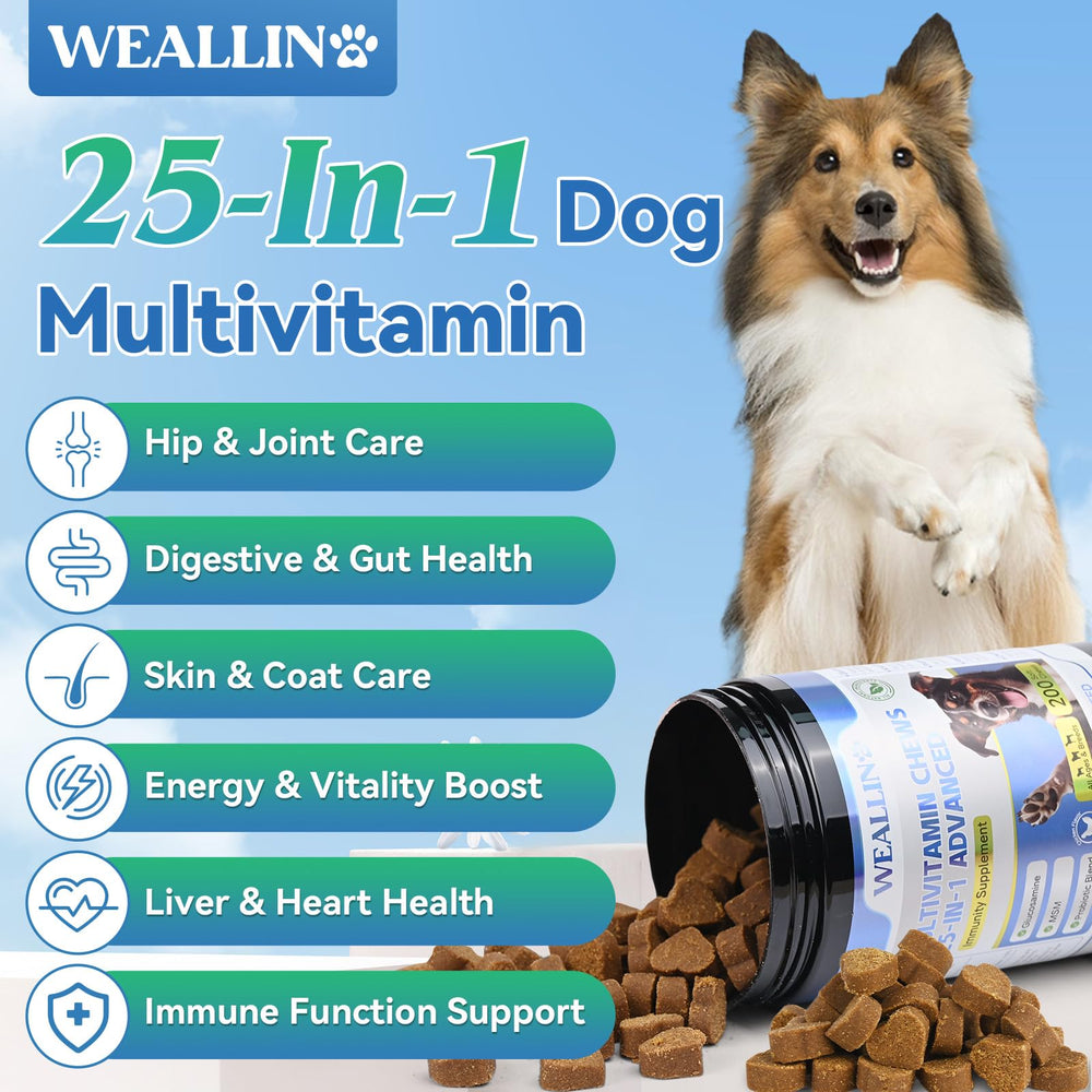 WEALLIN dog vitamins coat and skin image highlights omega-3 krill oil for shine.