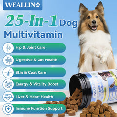 WEALLIN dog vitamins coat and skin image highlights omega-3 krill oil for shine.