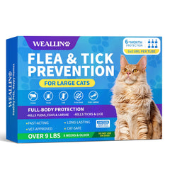 WEALLIN flea tick treatment applied between the shoulder blades provides quick protection for large cats.